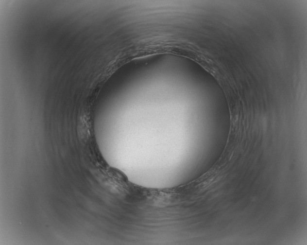 X0000068280772200604211110