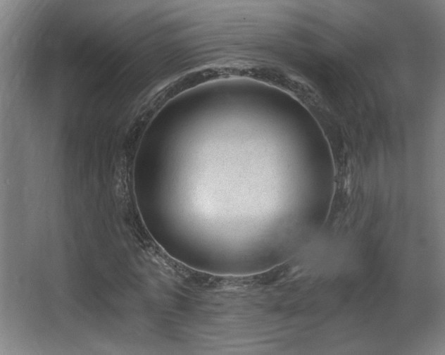 X0000068280773200604211110