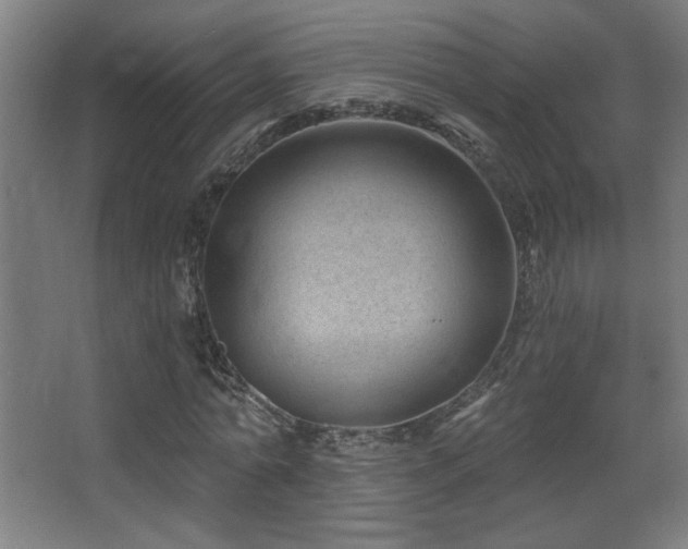 X0000068280774200604211110