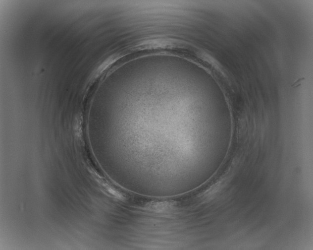 X0000068280778200604211110
