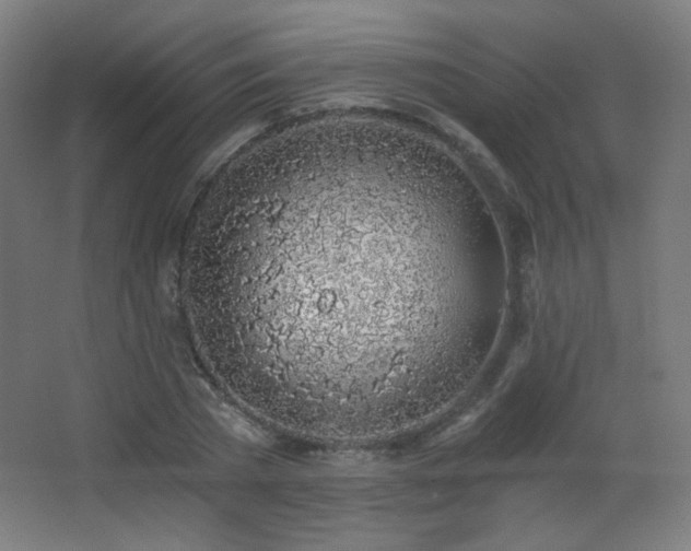X0000068280785200604211110