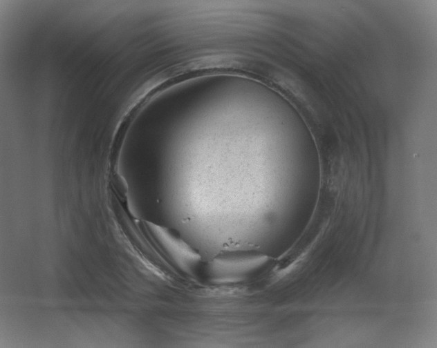 X0000068280786200604211110