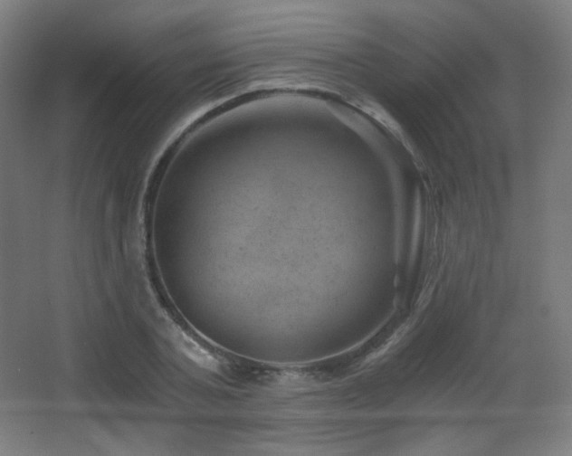 X0000068280787200604211110
