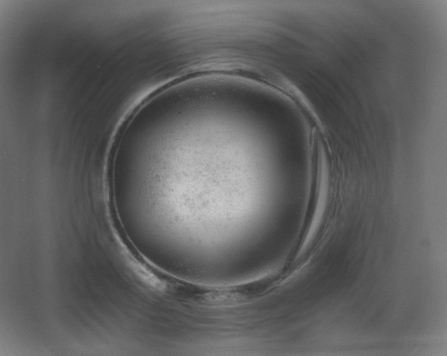 X0000068280795200604211110