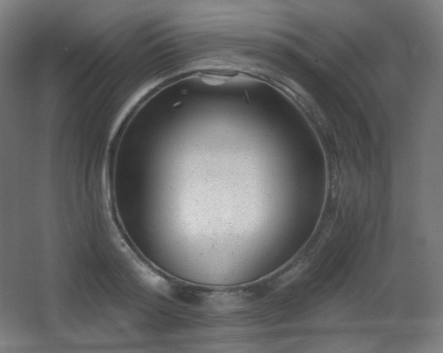X0000068280796200604211110