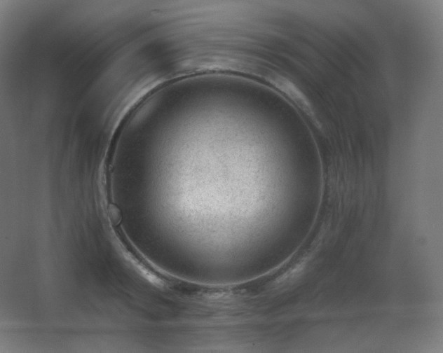 X0000068280798200604211110