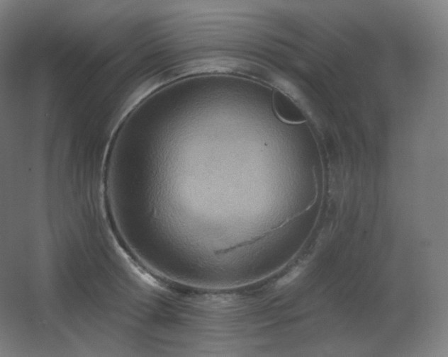 X0000068280802200604211109