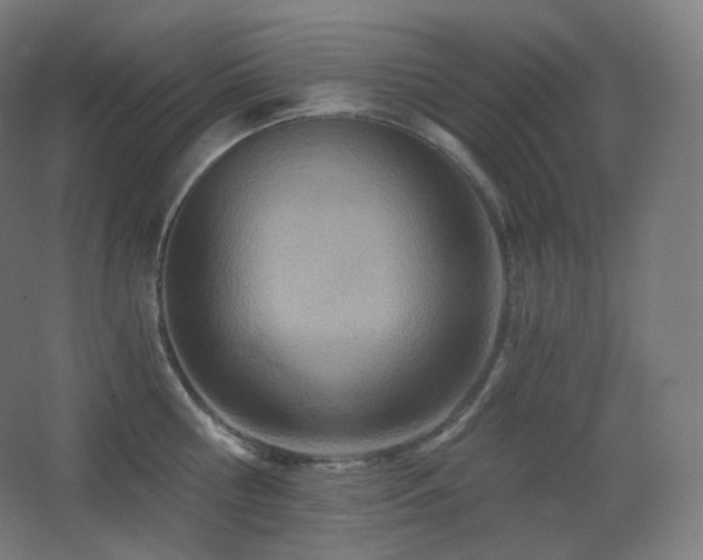 X0000068280810200604211109