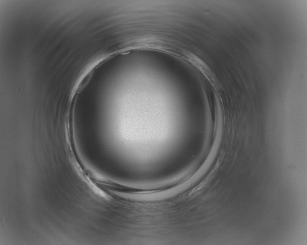 X0000068280812200604211109