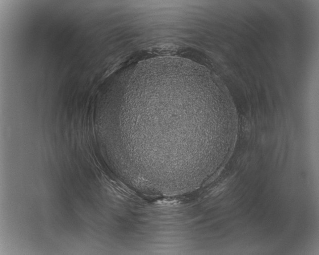 X0000068280818200604211108