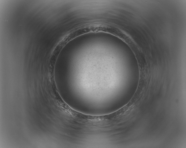 X0000068280823200604211108