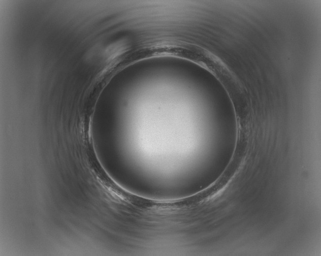 X0000068280825200604211109