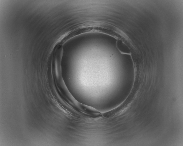 X0000068280826200604211109