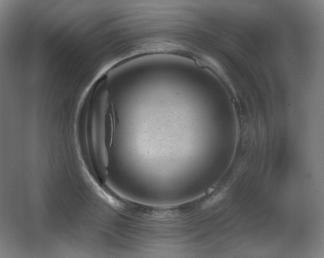 X0000068280843200604211109