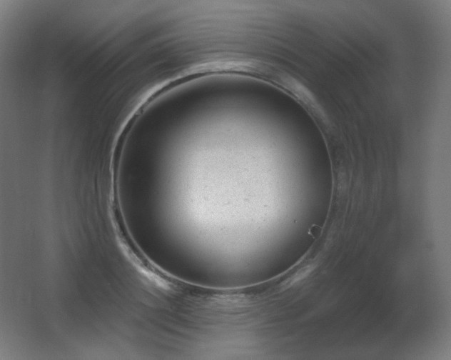 X0000068280844200604211109
