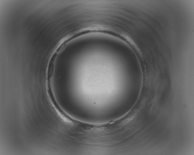 X0000068280845200604211109