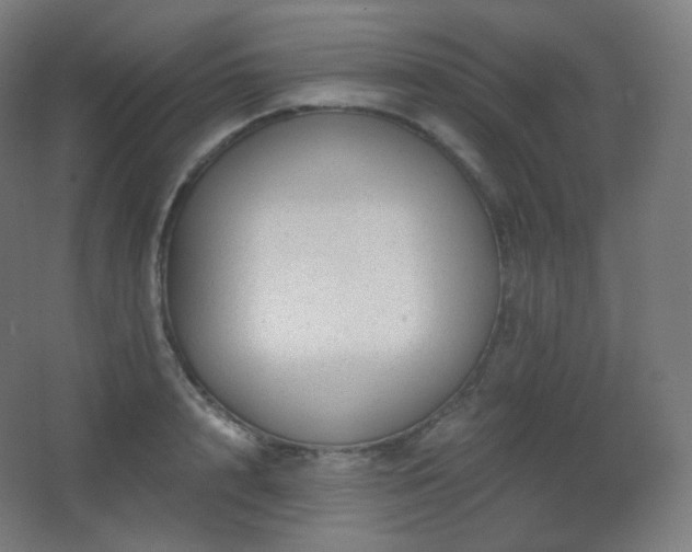 X0000068280848200604211109