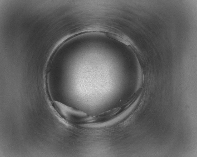 X0000068280854200604211109