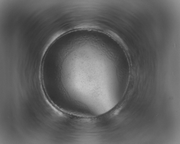 X0000068280855200604211109