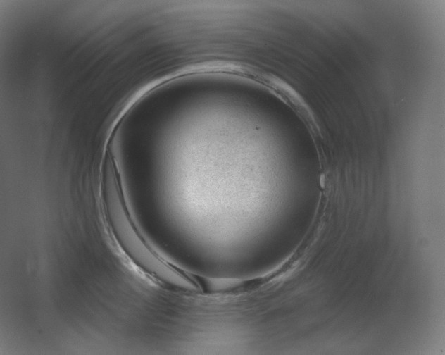 X0000068280860200604211109