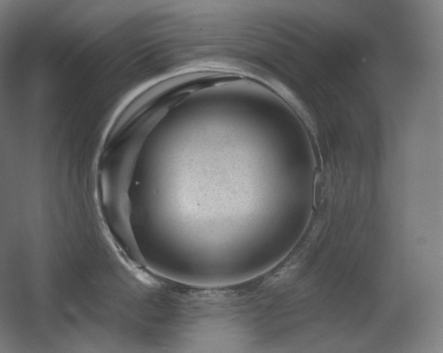 X0000068280862200604211109