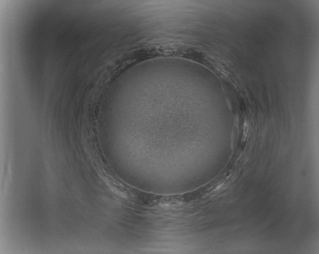 X0000068280865200604211108