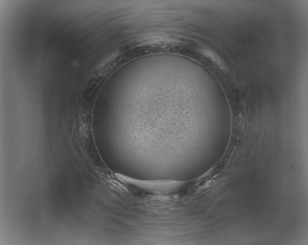 X0000068280869200604211108