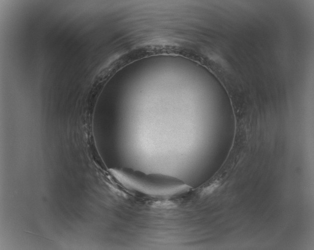 X0000068280870200604211108