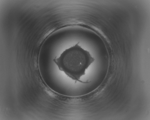 X0000068280889200604211108