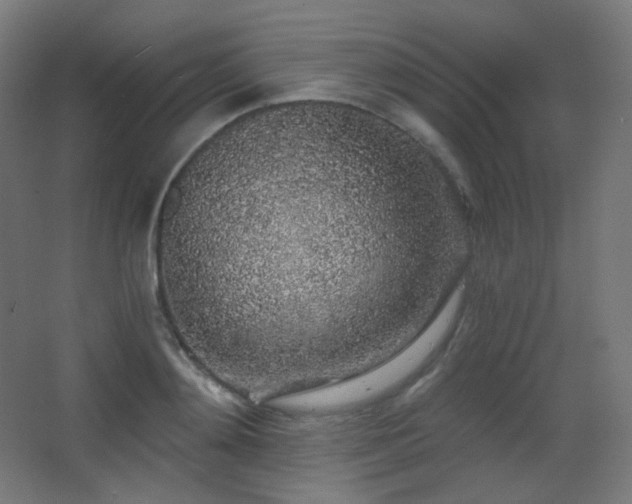 X0000068280892200604211108