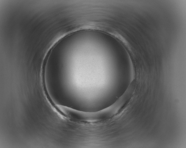 X0000068280902200604211108