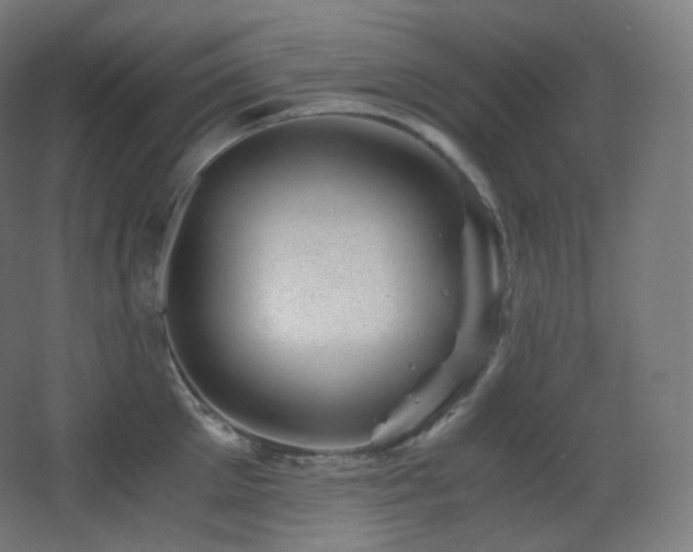 X0000068280905200604211108