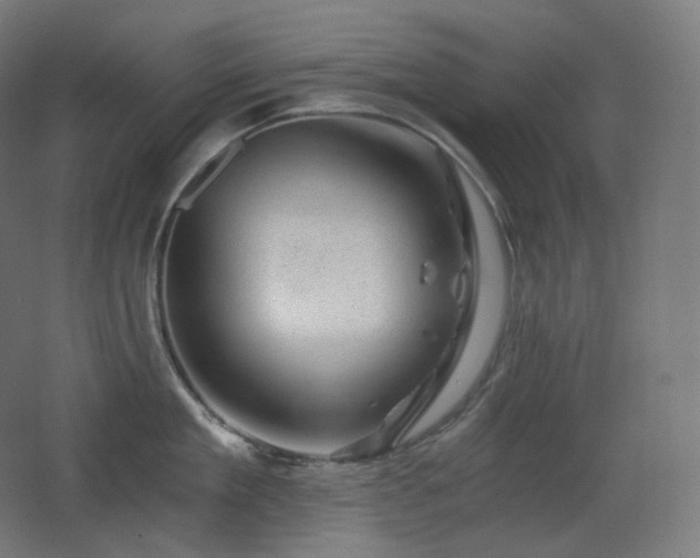 X0000068280909200604211108