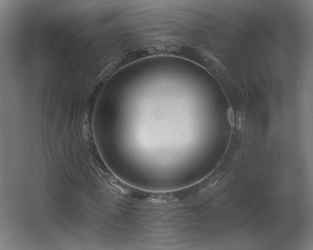 X0000068280915200604211107