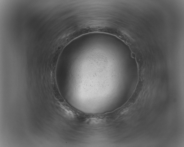 X0000068280917200604211107