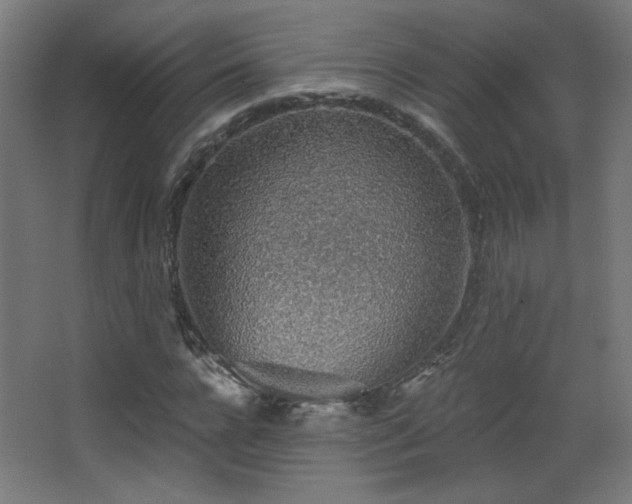 X0000068280920200604211107