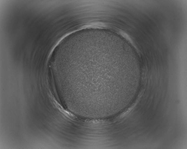 X0000068280923200604211107