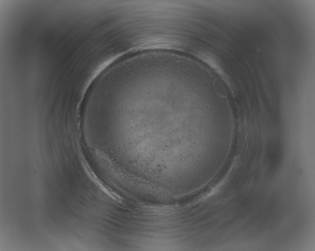 X0000068280933200604211107