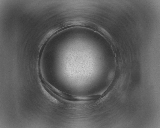 X0000068280938200604211107