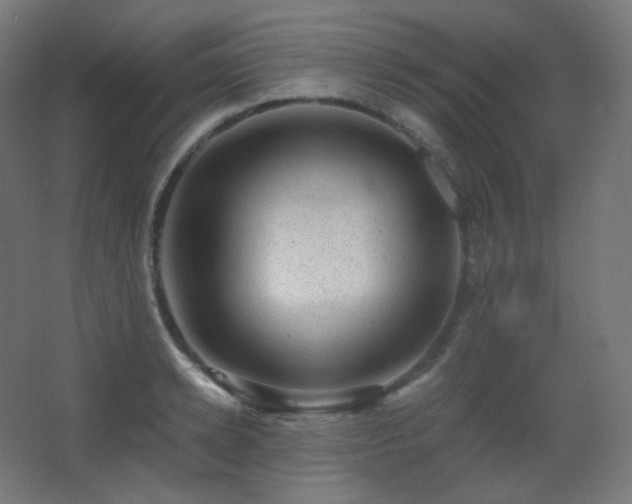 X0000068280942200604211107