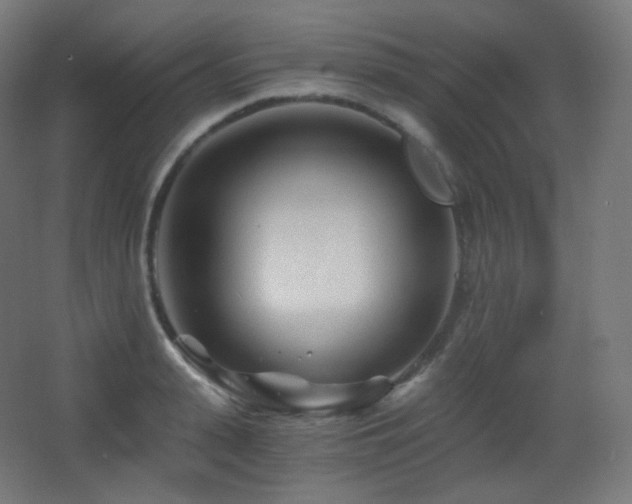 X0000068280943200604211107