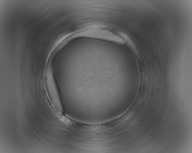 X0000068280948200604211107