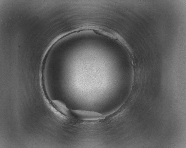 X0000068280955200604211107