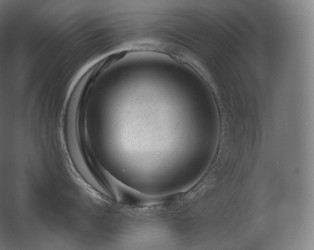 X0000068280960200604211108
