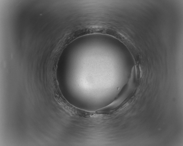 X0000068280961200604211107