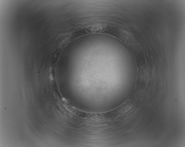 X0000068280962200604211107