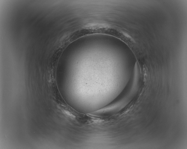 X0000068280965200604211107