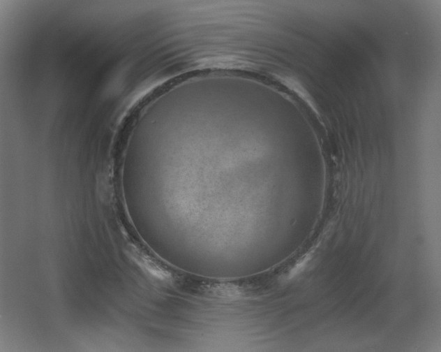 X0000068280971200604211107