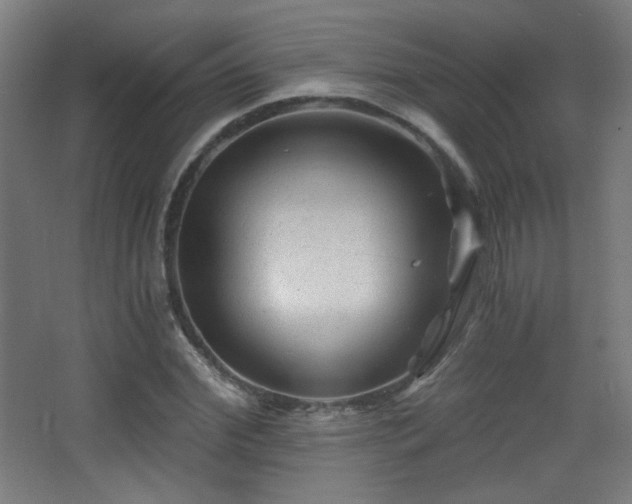 X0000068280972200604211107
