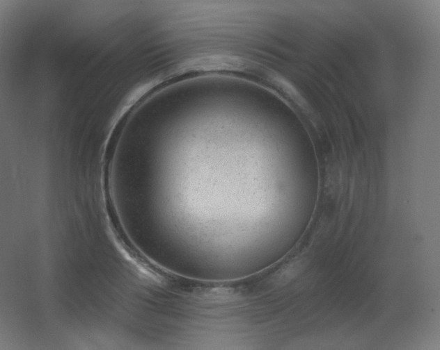 X0000068280986200604211106